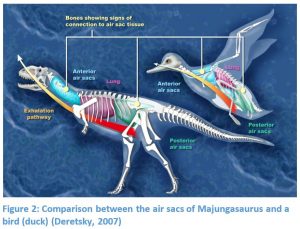 Were Dinosaurs Nurturing Parents Mdis Blog Were Dinosaurs Nurturing Parents Mdis Blog