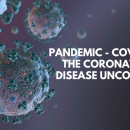 Covid 19 Pandemic