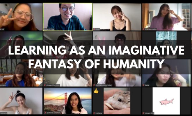 Learning as an Imaginative Fantasy of Humanity