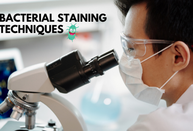 Bacterial Staining Techniques