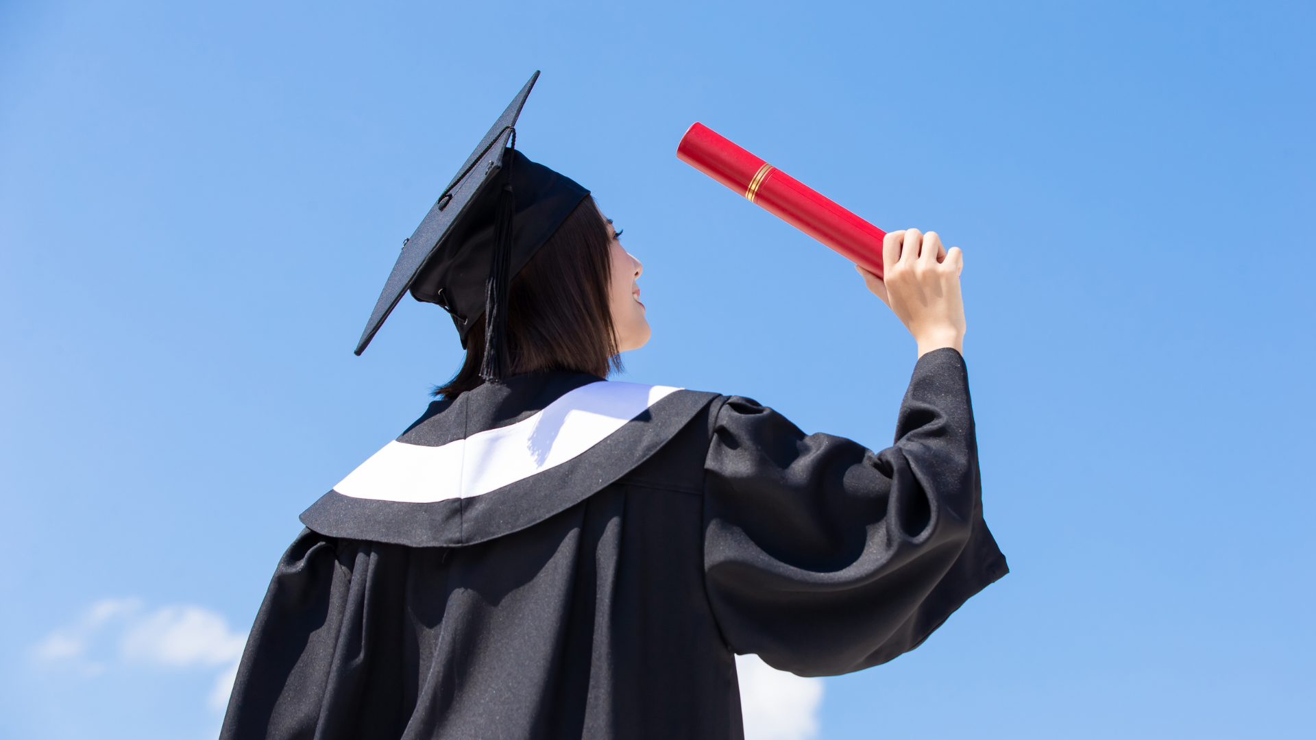 Job Roles Can You Get Into with a Business Management Degree in Singapore