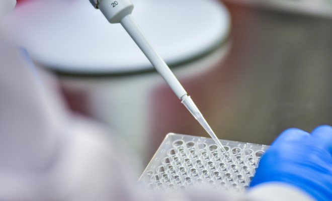 Are Biomedical Science Courses Worth Taking in Singapore?