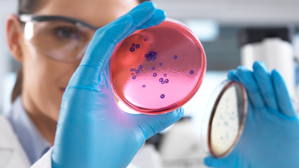 Navigating the Biomedical Academic Pathway